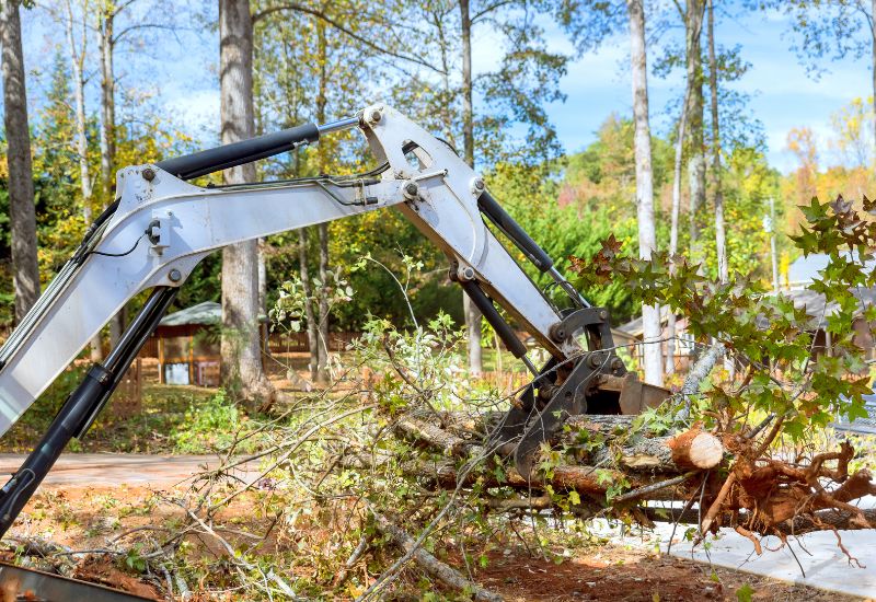 Emergency crew cutting up a fallen tree in Decatur AL after a storm