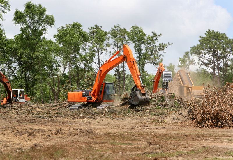 Excavator clearing brush and trees on a lot in Decatur AL